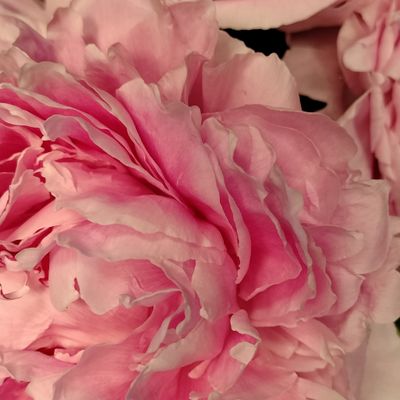 atwoodtenley thumbnail