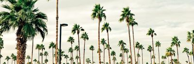 thachozn1ne thumbnail