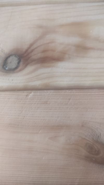 curvysofia91 thumbnail