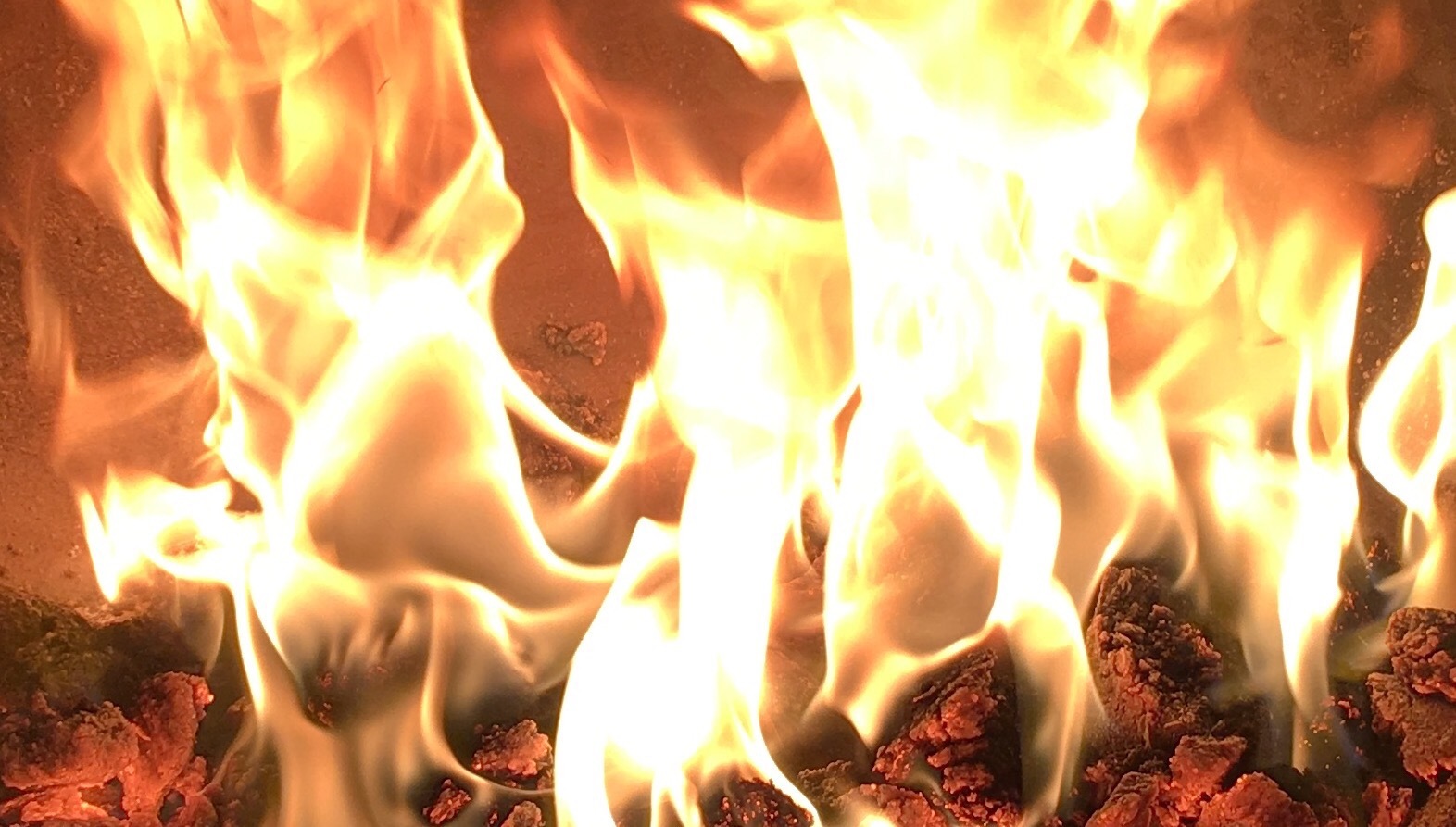 rocandshayxxx thumbnail