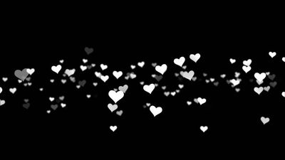 captainxkitten thumbnail