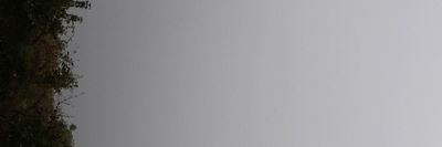 filipposanta94 thumbnail