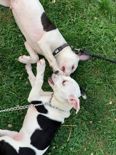 babbymaddison thumbnail