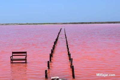 loreynys1106 thumbnail