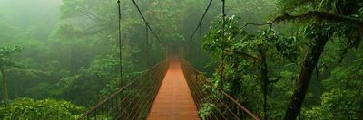 thejunglebook thumbnail