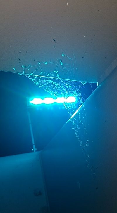 Jazzy quuee thumbnail