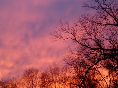 jazzy_savage thumbnail