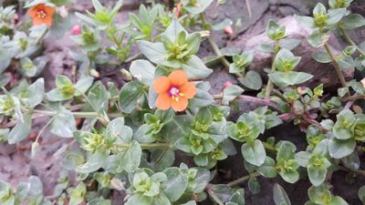 u112446530 thumbnail