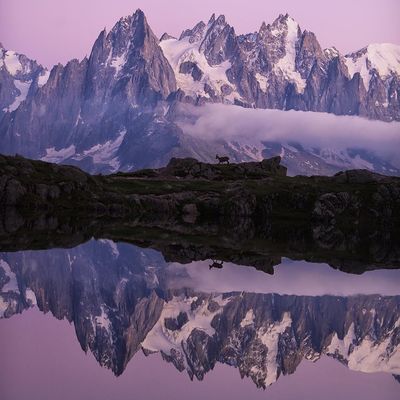 user.not.found thumbnail