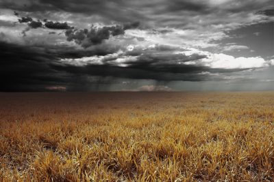 tobyanderson thumbnail