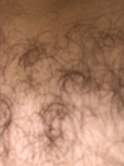 tall_hairy_and_free thumbnail