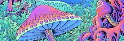 toyaburnsx thumbnail