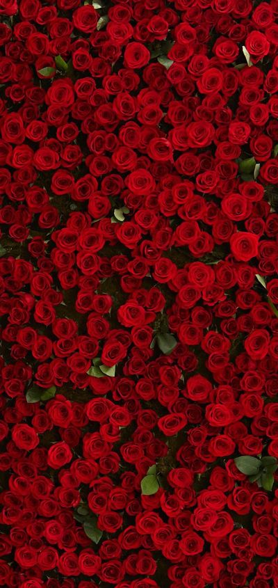 baref00tbun22 thumbnail