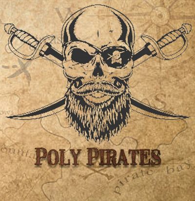 Poly Pirate Crew profile
