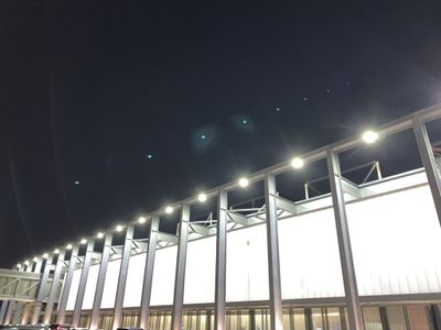 rigogarcii thumbnail