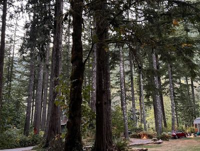 teddybear_jalan thumbnail