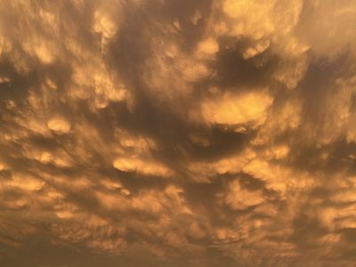 𖦹ʏᴏᴜʀ ᴀᴠᴇʀᴀɢᴇ 𝑨𝒒𝒖𝒂𝒓𝒊𝒖𝒔𖦹 thumbnail