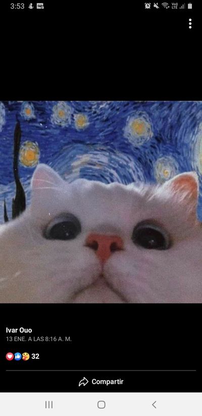 laurareriroru thumbnail