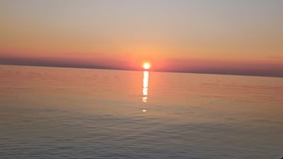 aesha_rich thumbnail