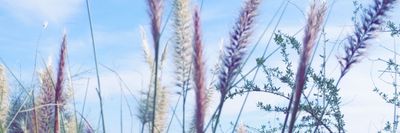 sub_trixxx thumbnail