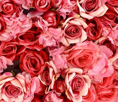 alexxxarose626 thumbnail