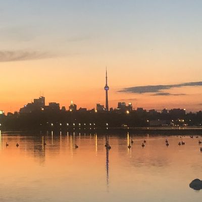 u180162817 thumbnail