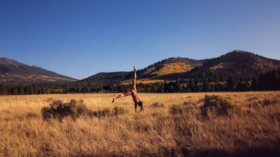 fine_lines__ thumbnail