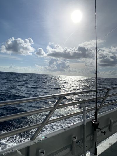 meatball634 thumbnail