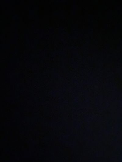 vladlenbear thumbnail