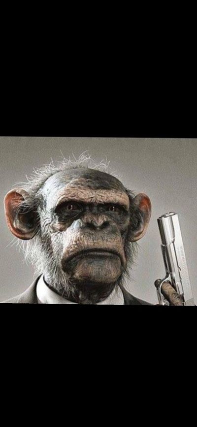 CoStar ⭐️🪴 thumbnail