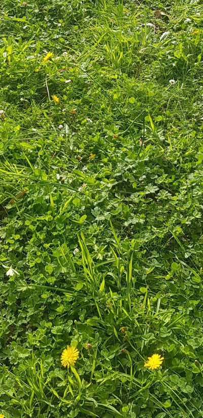 best.busty.babes thumbnail