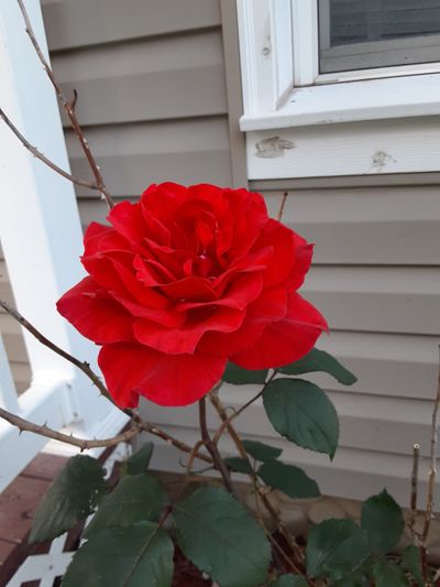 burnett.girl thumbnail