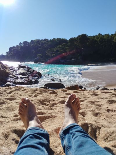 misterparrake profile