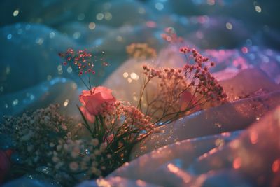 softlyyblue thumbnail