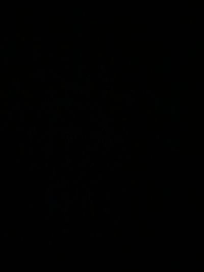 twinkboywithtoy thumbnail