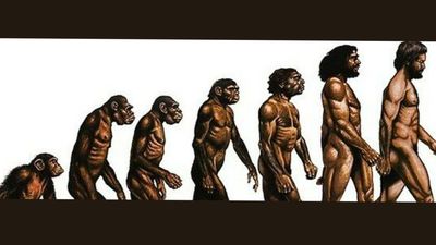 earlleemann thumbnail