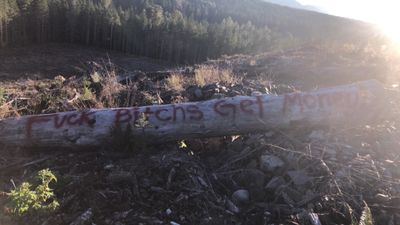 Cheyenne Blystone thumbnail