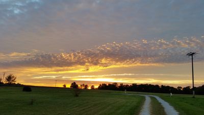 Josh Stephens thumbnail