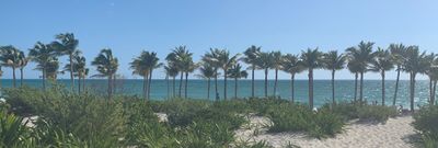 Margot Wolfe thumbnail