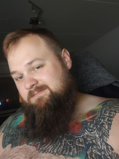 theswedishbeard profile