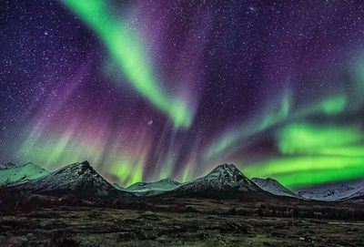 panteamenn thumbnail