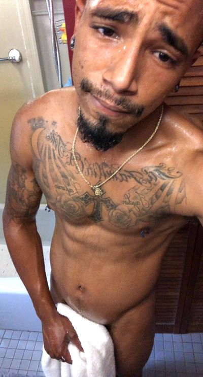 longdicktatteddomincan profile