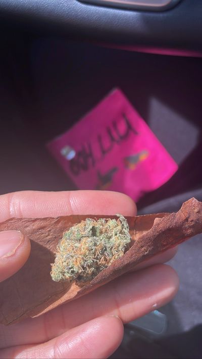 deepfriedshrooms thumbnail