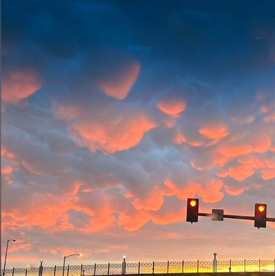 allythecat thumbnail