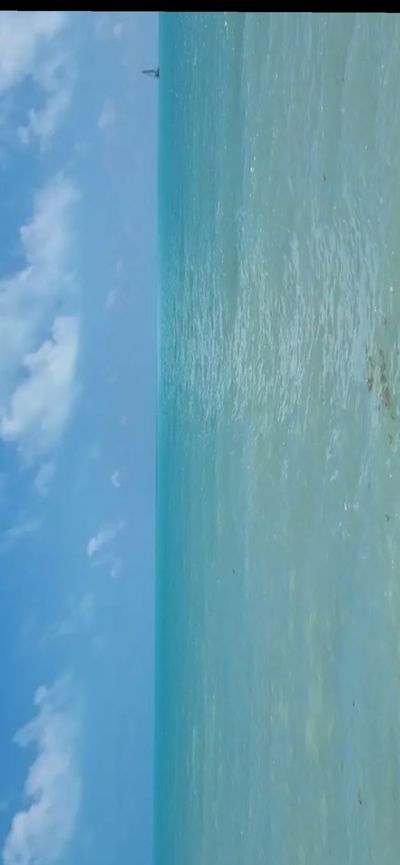 vvsdiamond2 thumbnail