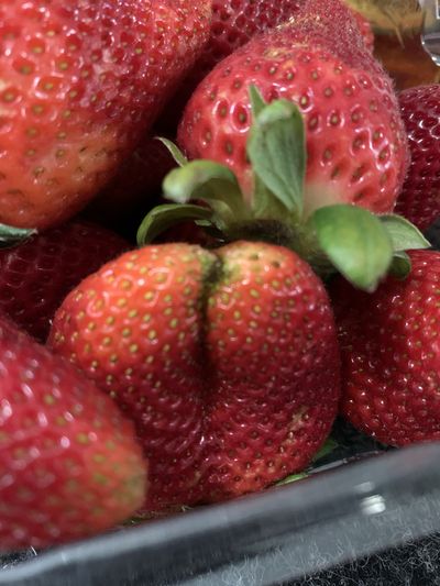 bearthegoblin thumbnail