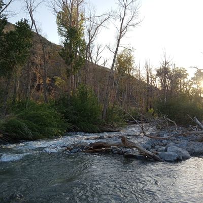 madamcatana thumbnail