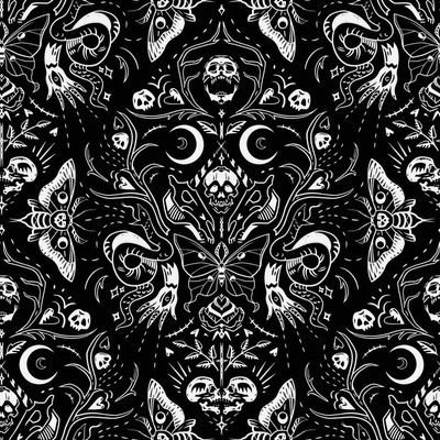 phenomenal.one thumbnail