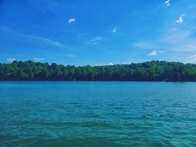 silverfeign thumbnail