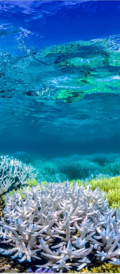 brenda.js2001 thumbnail